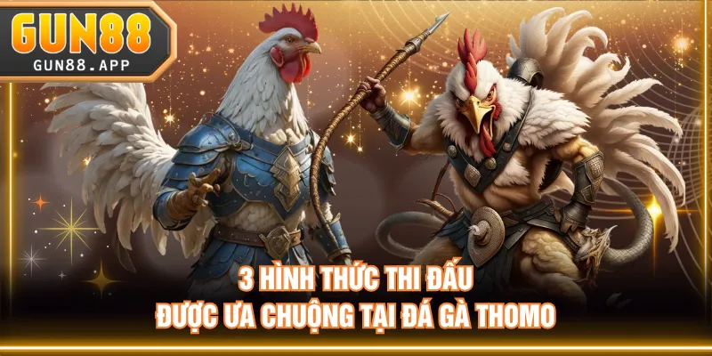 Đấu Trường Đá Gà Thomo - Nơi Chiến Kê Thể Hiện Sự Đẳng Cấp - tixenu