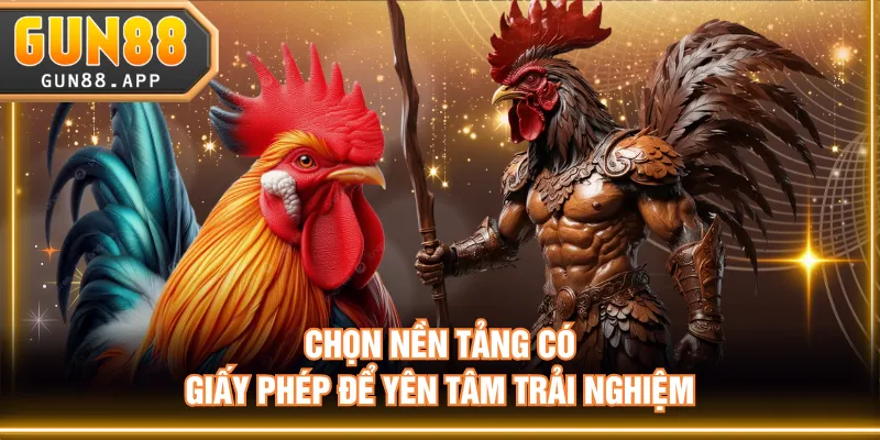 Đá Gà Online Trực Tiếp Link Full HD Đủ Loại Hình Thi Đấu - tixenu