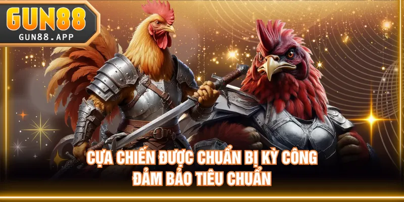 Đá Gà Sabong Kịch Tính - Nghệ Thuật Chọi Kê Philippines - tixenu