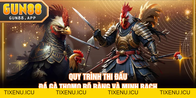 Đấu Trường Đá Gà Thomo - Nơi Chiến Kê Thể Hiện Sự Đẳng Cấp - tixenu